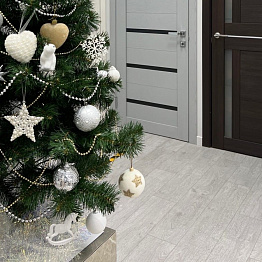 Двери Нева в 2023